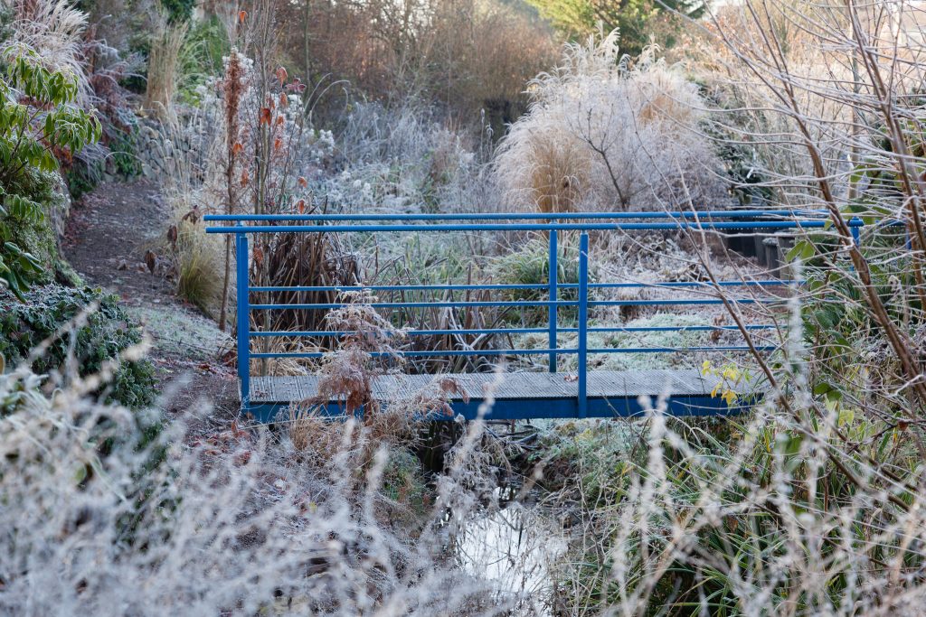 Der Garten an der blauen Brücke im Dezember